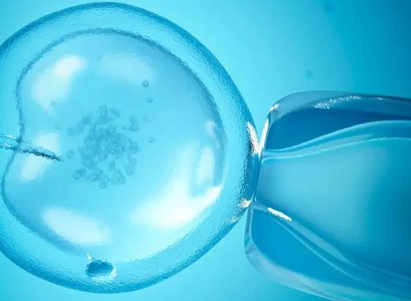 苏州未来几年试管婴儿的成功率是否会提高科学分析预测
