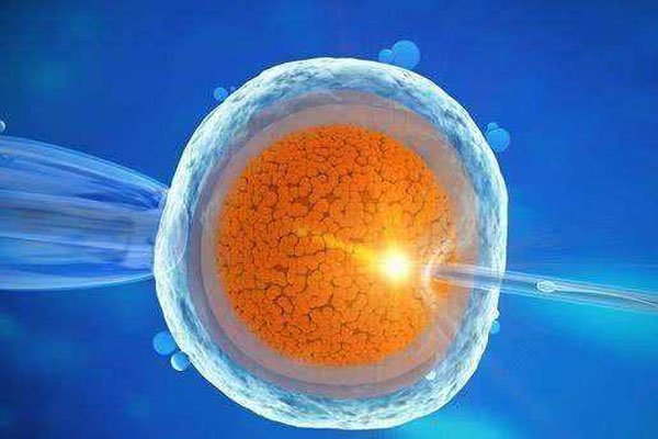 试管婴儿为什么都是两个胚胎提高成功率和降低风险